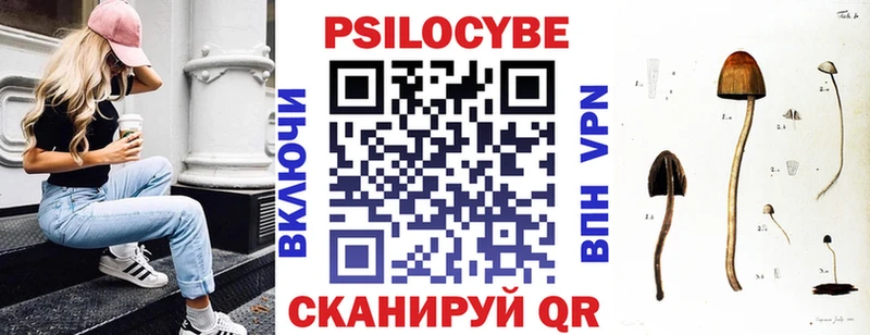 Галлюциногенные грибы Psilocybine cubensis  hydra рабочий сайт  Михайлов 